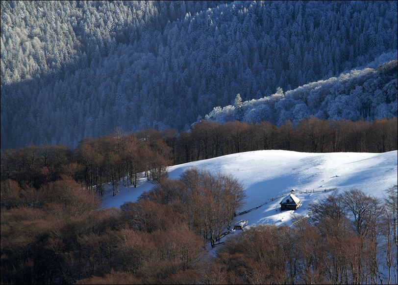 Фотографія У леса на опушке, живёт зима в избушке / Igor Melika / photographers.ua