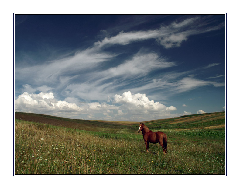 Фотографія Red Horse & Magic Sky / Igor Melika / photographers.ua