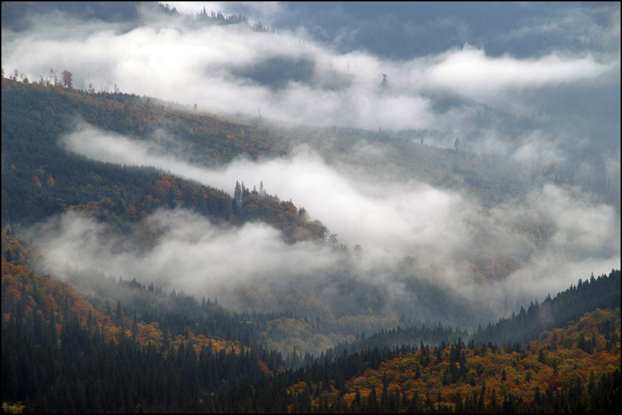 Фотографія Вдихати осінь... / Igor Melika / photographers.ua