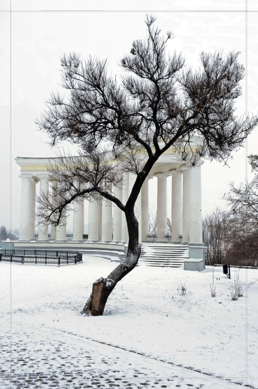 Фотографія Первый снег... / Наталия Андронова / photographers.ua