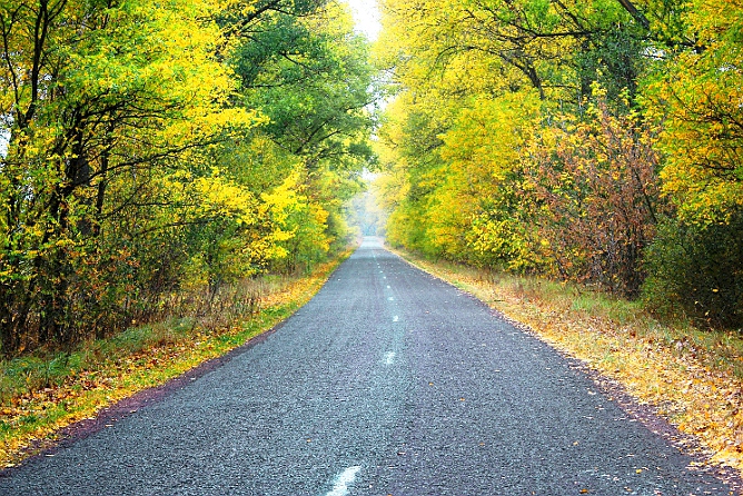 Фотографія дорога к маме / Vlad_M / photographers.ua