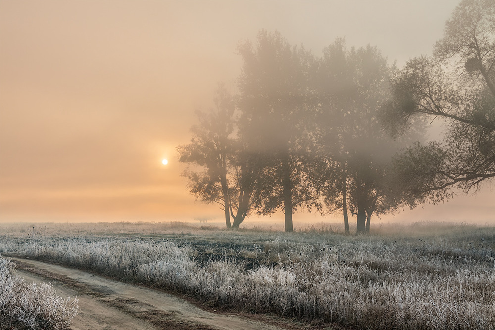 Фотографія Восход в тумане / Владимир Костылев / photographers.ua