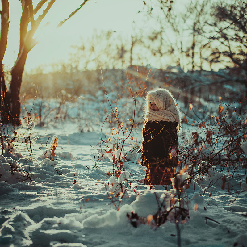Фотографія Winter song / Julia Pustovit / photographers.ua