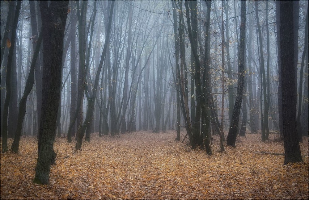 Фотографія Гламур / Александр Маковский / photographers.ua