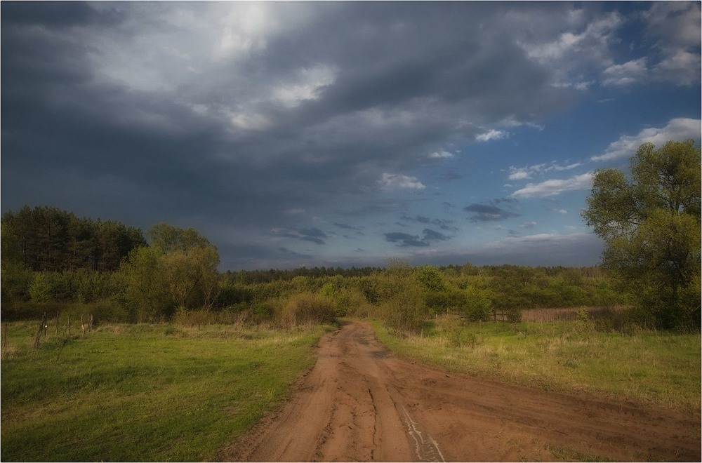 Фотографія Після дощу! / Александр Маковский / photographers.ua