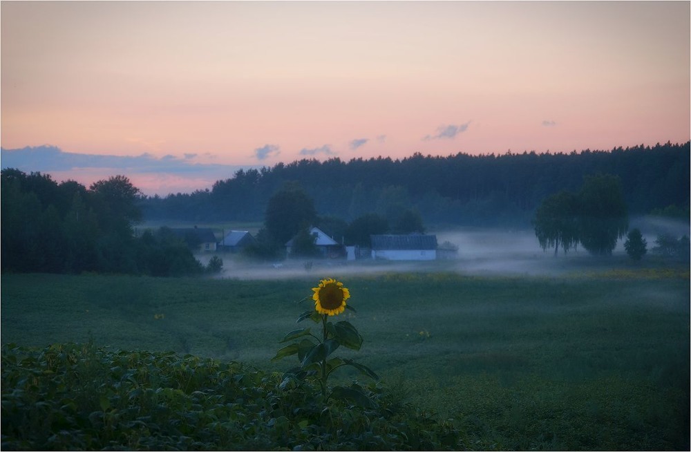 Фотографія Пейзаж / Александр Маковский / photographers.ua