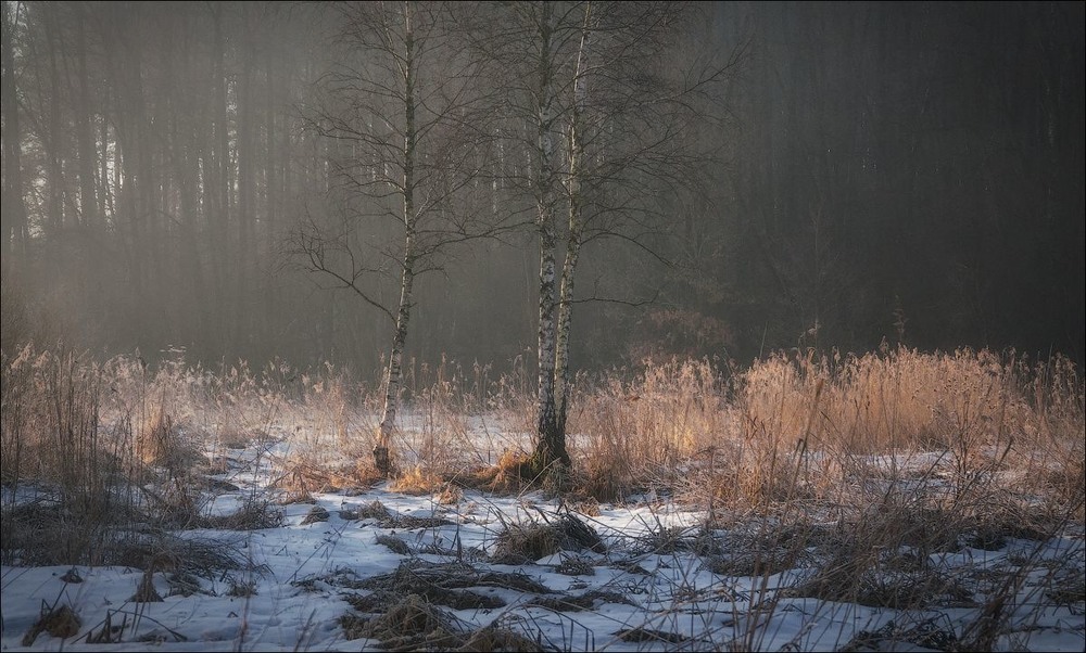 Фотографія Пейзаж / Александр Маковский / photographers.ua