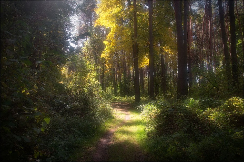 Фотографія Пейзаж / Александр Маковский / photographers.ua