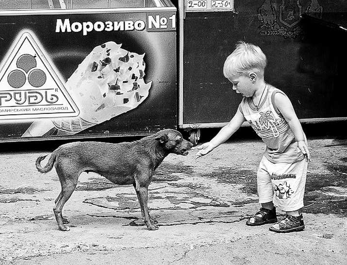 Фотографія Бесстрашный ребенок / Ирина Гнатюк / photographers.ua