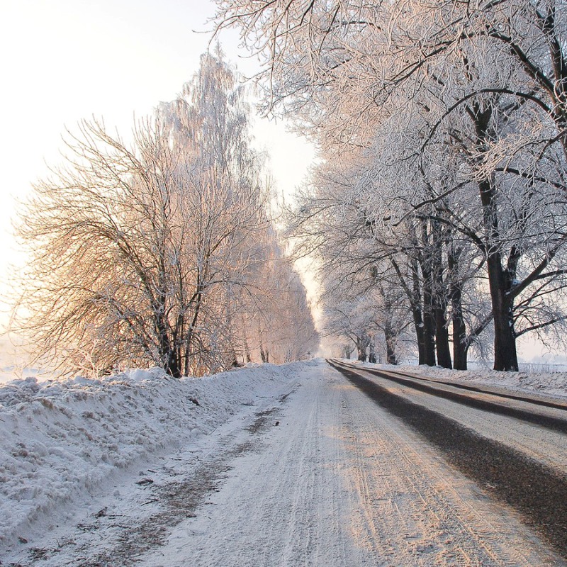 Фотографія Снова зима / Ирина Гнатюк / photographers.ua