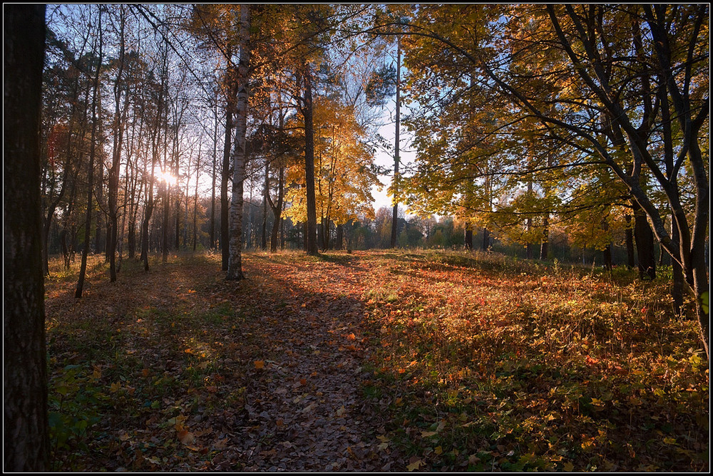 Фотографія осенний парк / Иван / photographers.ua