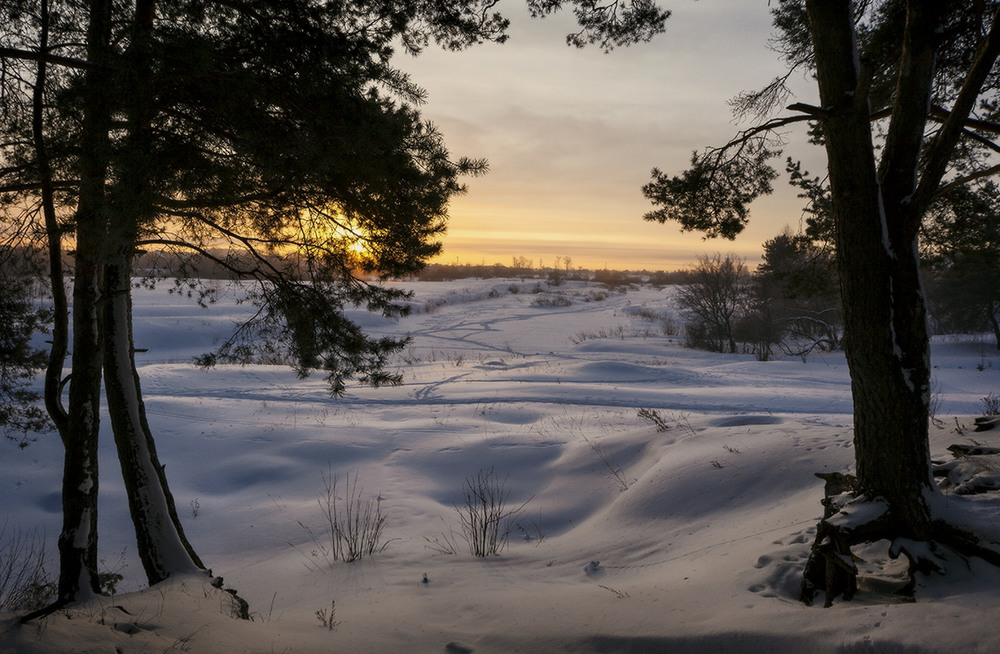 Фотографія зимнее утро / Иван / photographers.ua
