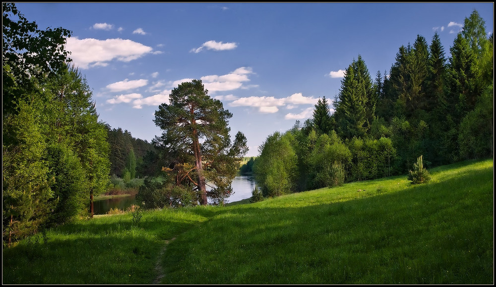 Фотографія полуденный лес... / Иван / photographers.ua