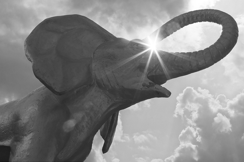 Фотографія Zoo Keeper / fancydev / photographers.ua