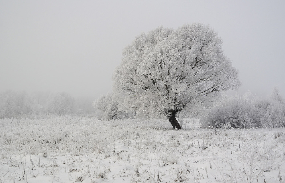 Фотографія Пейзаж / Євген Кулик / photographers.ua