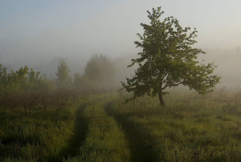Фотографія Пейзаж / Євген Кулик / photographers.ua