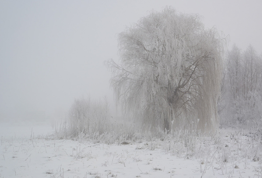 Фотографія Пейзаж / Євген Кулик / photographers.ua