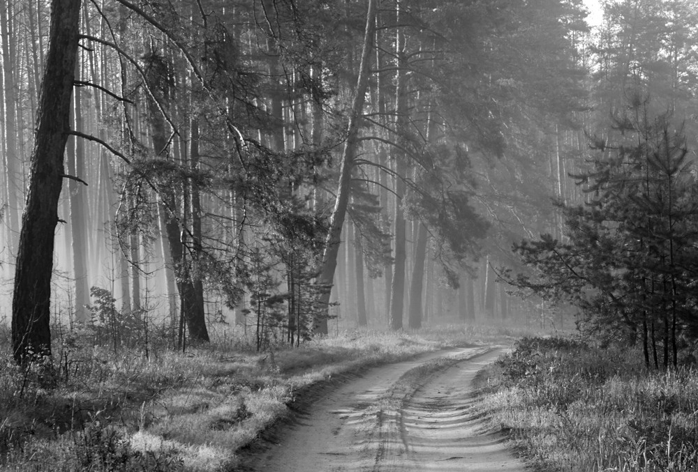 Фотографія Пейзаж / Євген Кулик / photographers.ua