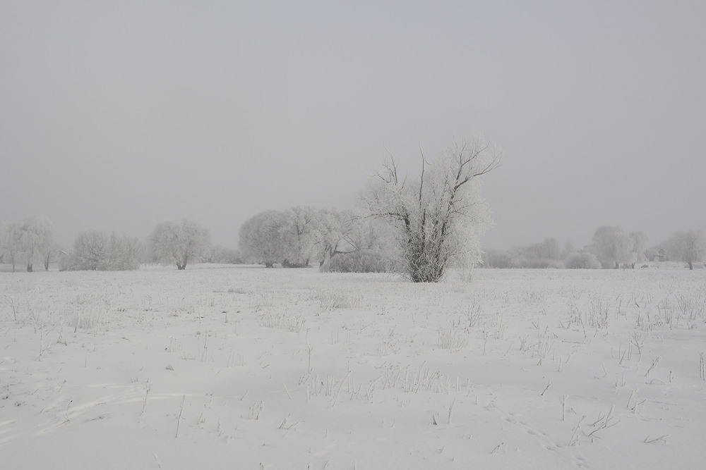 Фотографія Пейзаж / Євген Кулик / photographers.ua