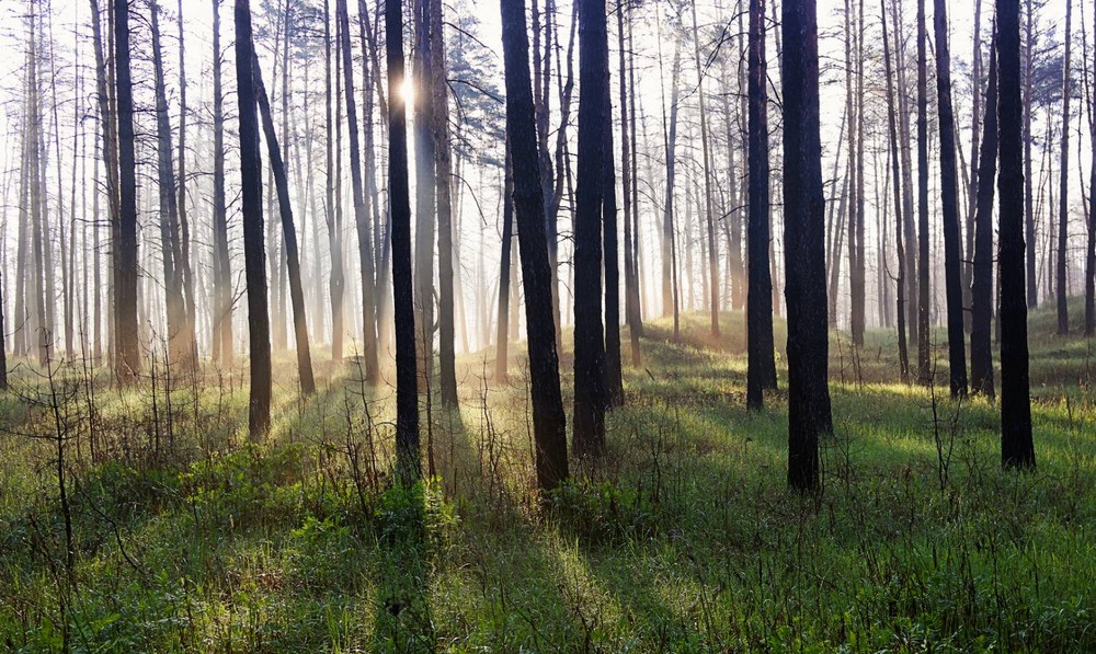 Фотографія Пейзаж / Євген Кулик / photographers.ua