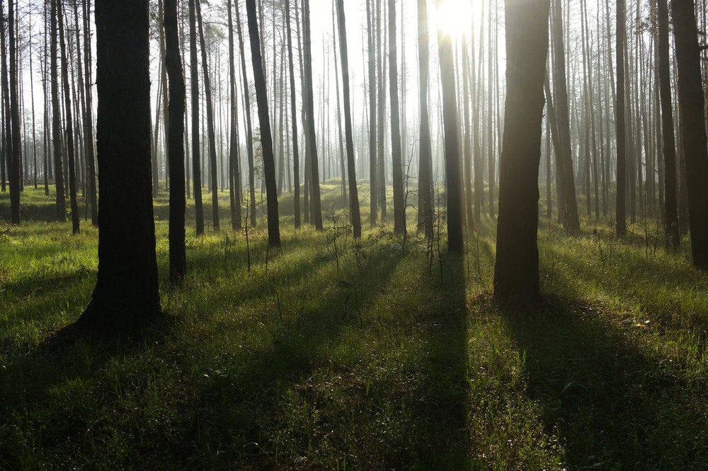 Фотографія Пейзаж / Євген Кулик / photographers.ua