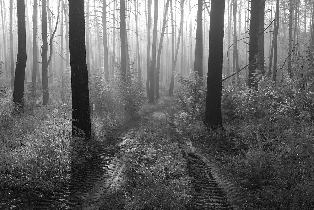 Фотографія Пейзаж / Євген Кулик / photographers.ua