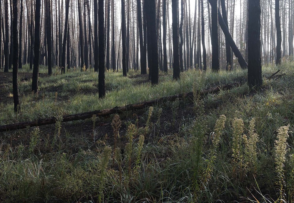 Фотографія Пейзаж / Євген Кулик / photographers.ua