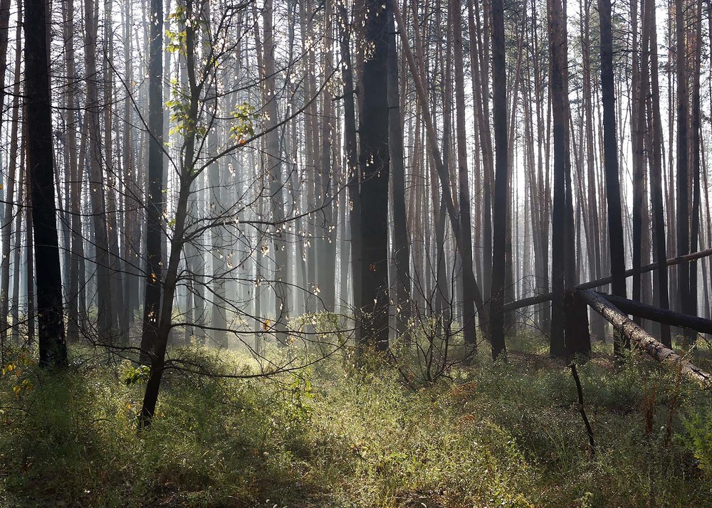 Фотографія Пейзаж / Євген Кулик / photographers.ua
