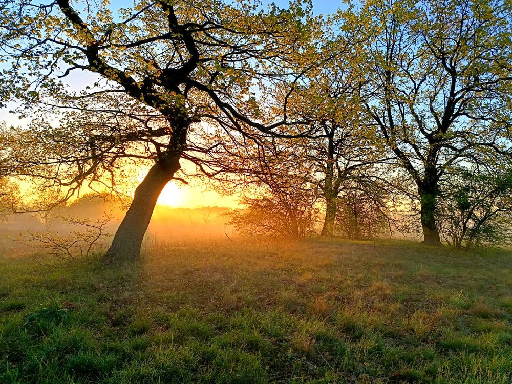 Фотографія Пейзаж / Євген Кулик / photographers.ua