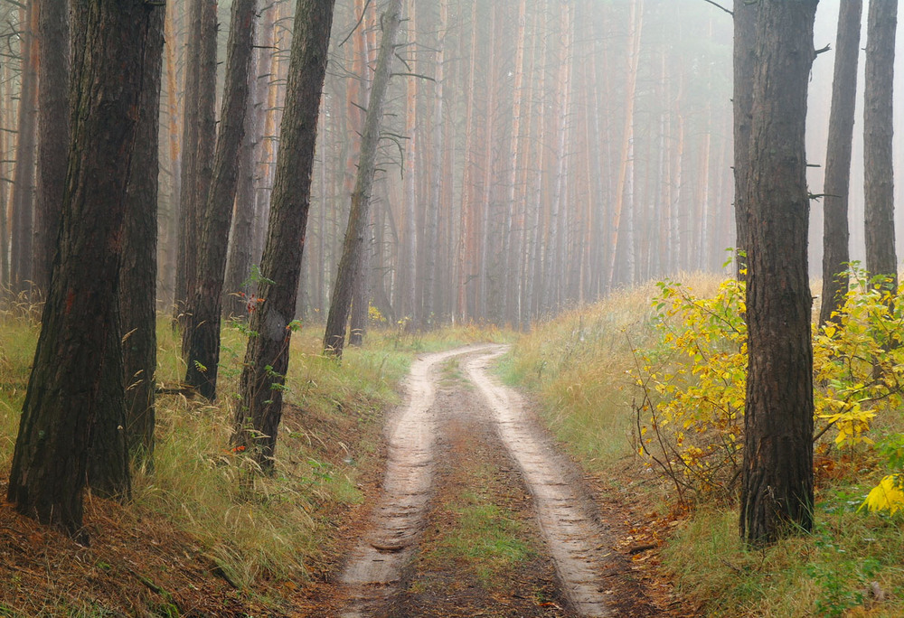 Фотографія Пейзаж / Євген Кулик / photographers.ua