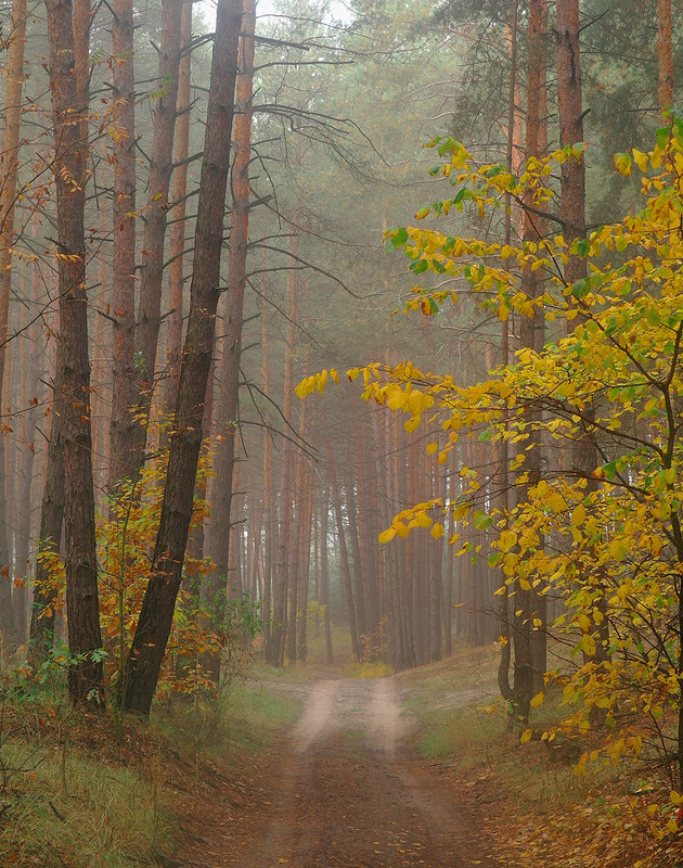 Фотографія Пейзаж / Євген Кулик / photographers.ua