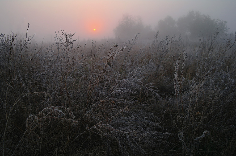 Фотографія «Нарисую осень» / Євген Кулик / photographers.ua