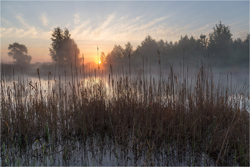 Фотографія Пейзаж / Stas_Muhin / photographers.ua