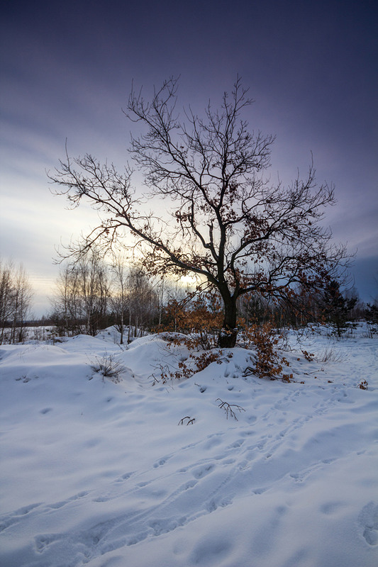 Фотографія рассветный закат / Stas_Muhin / photographers.ua