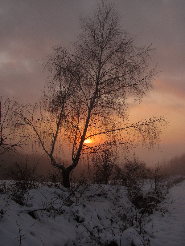 Фотографія Пейзаж / Ігор Кобилянский / photographers.ua