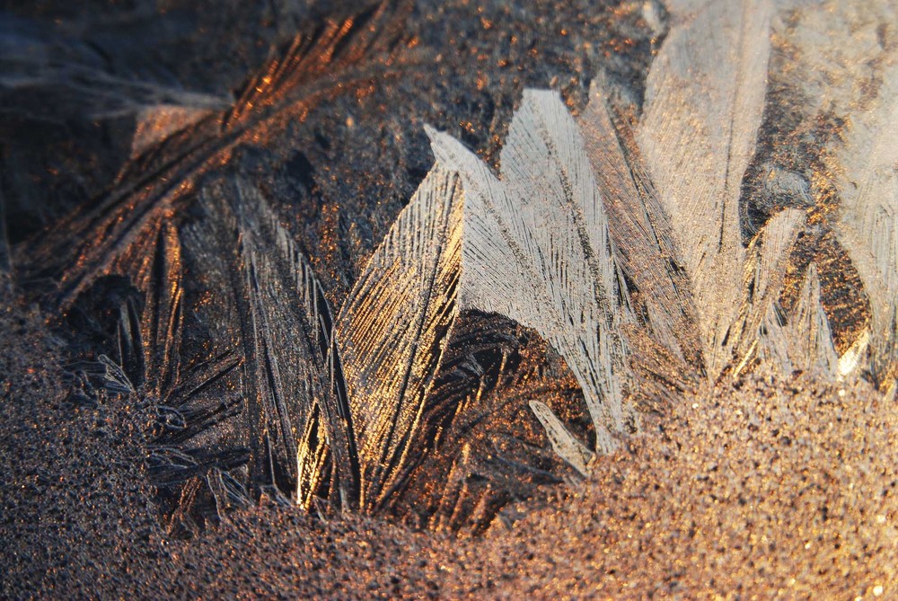 Фотографія Что снится зиме.... / Erzsebet / photographers.ua