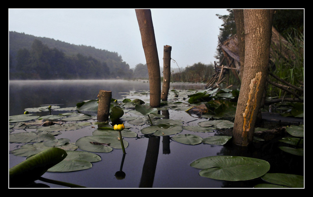 Фотографія Пейзаж / Igor Sh / photographers.ua