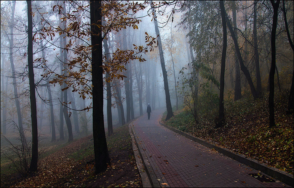 Фотографія morning in the park / Vladimir Shcherbyna / photographers.ua