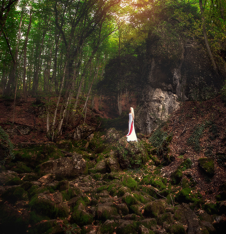 Фотографія In the celtic forest / Vladimir Shcherbyna / photographers.ua