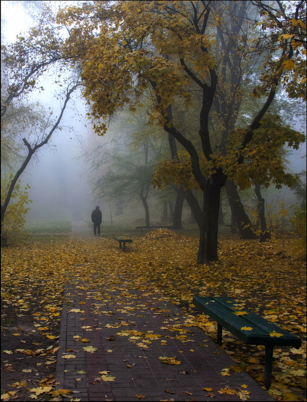 Фотографія Осеннее одиночество-2 / Vladimir Shcherbyna / photographers.ua