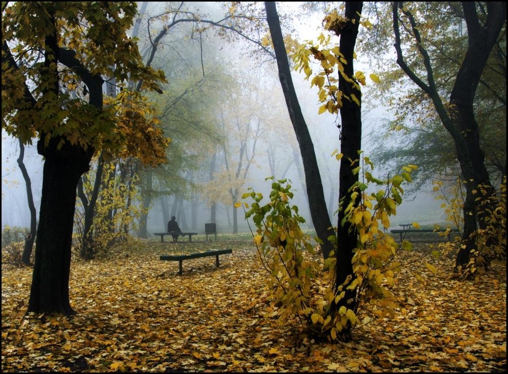 Фотографія Осеннее одиночество / Vladimir Shcherbyna / photographers.ua
