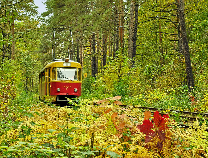 Фотографія Осенний трамвайчик / Vladimir Shcherbyna / photographers.ua