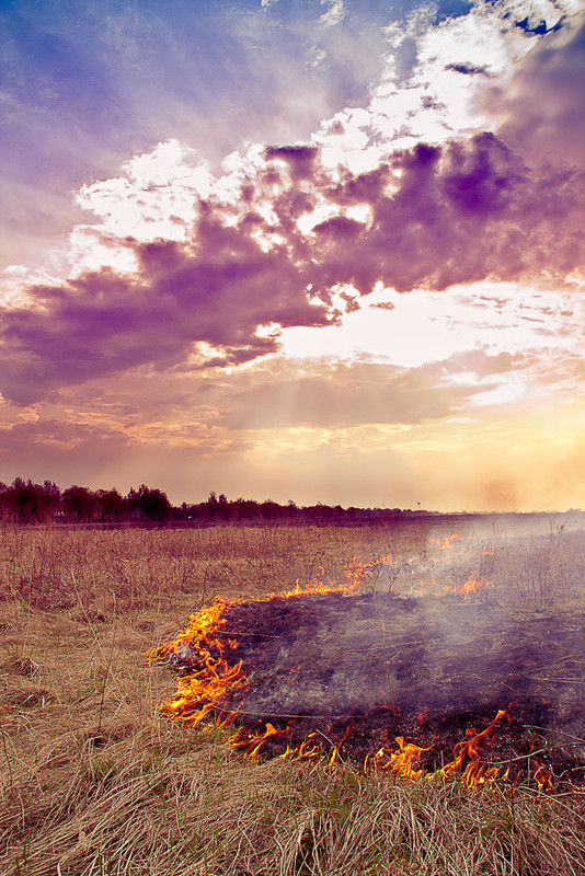 Фотографія Пожар в поле / Олег Миколаенко / photographers.ua