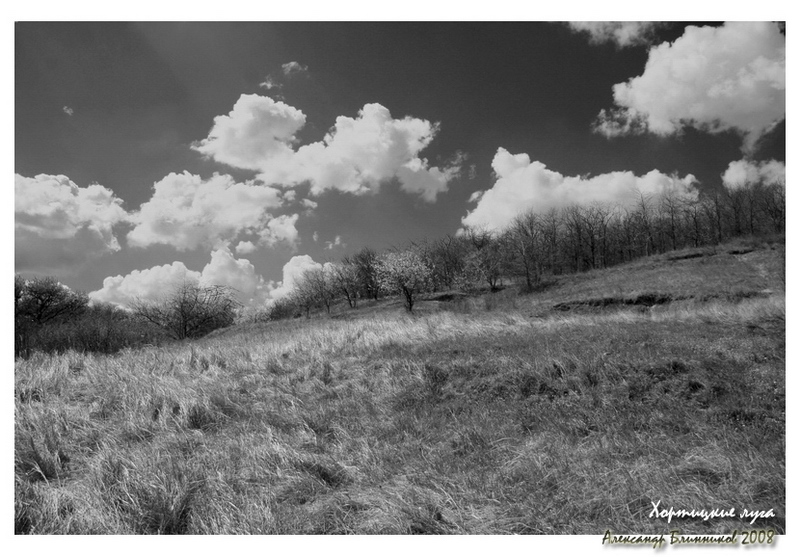 Фотографія Хортицкие луга / Александр Блинников / photographers.ua