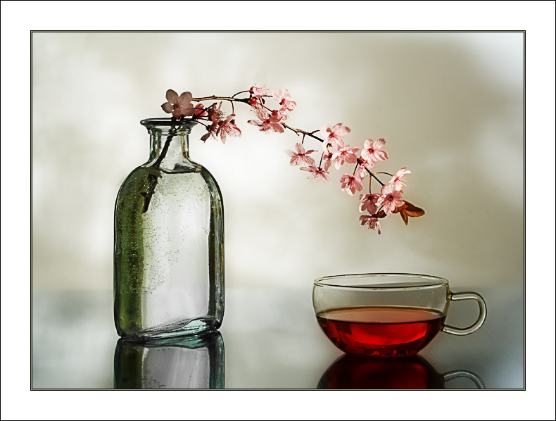 Фотографія Про чай , про весну... / Oksana Neukam / photographers.ua