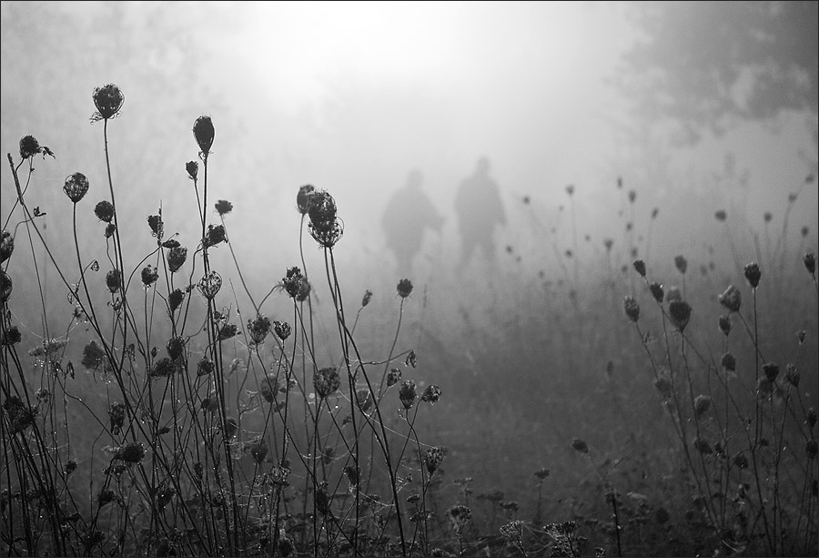 Фотографія Пойдем гулять в туман ? / Oksana Neukam / photographers.ua