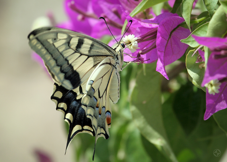Фотографія Пейзаж / Валерий / photographers.ua