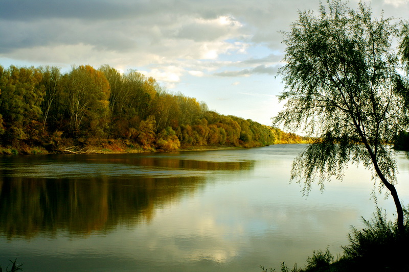 Фотографія Десна Чернигов / Габриэл Карраско / photographers.ua