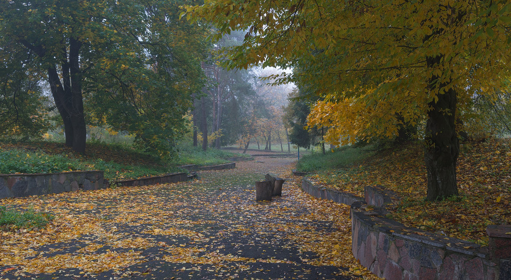 Фотографія осінь в моему місті / Микола Шахманцір / photographers.ua