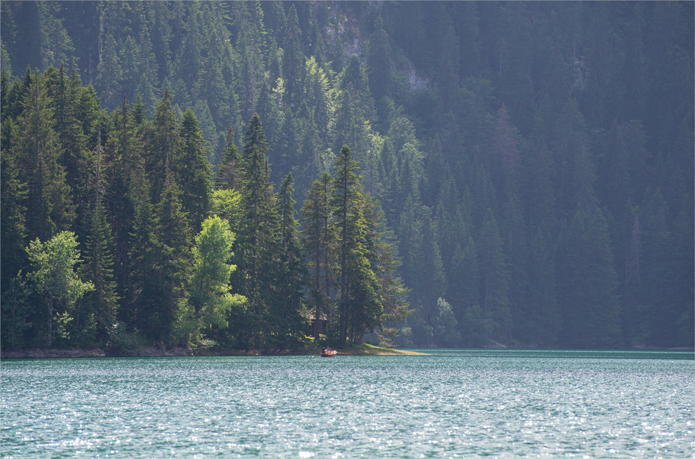 Фотографія 7 / Микола Шахманцір / photographers.ua